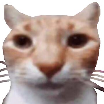 low-res-cat1